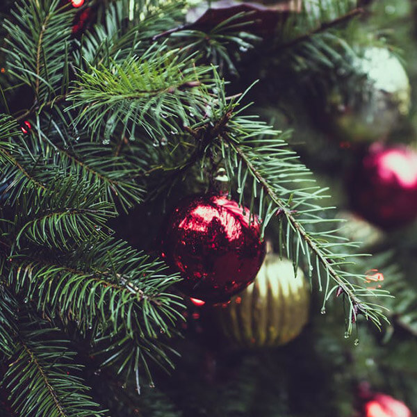 Christmas SEO: Don’t Forget Your Seasonal Keywords