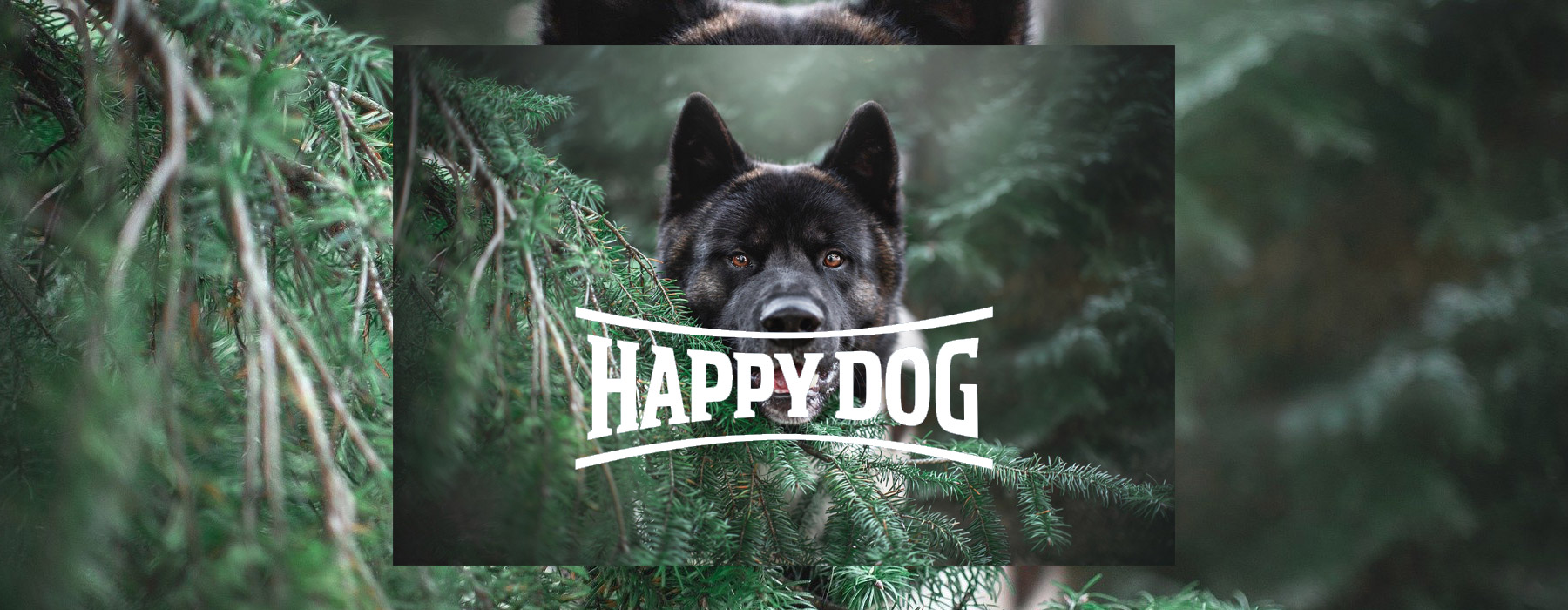 Happy Dog SEO